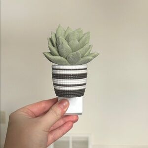 Bath & Body Works: Green Succulent Wall Plug In